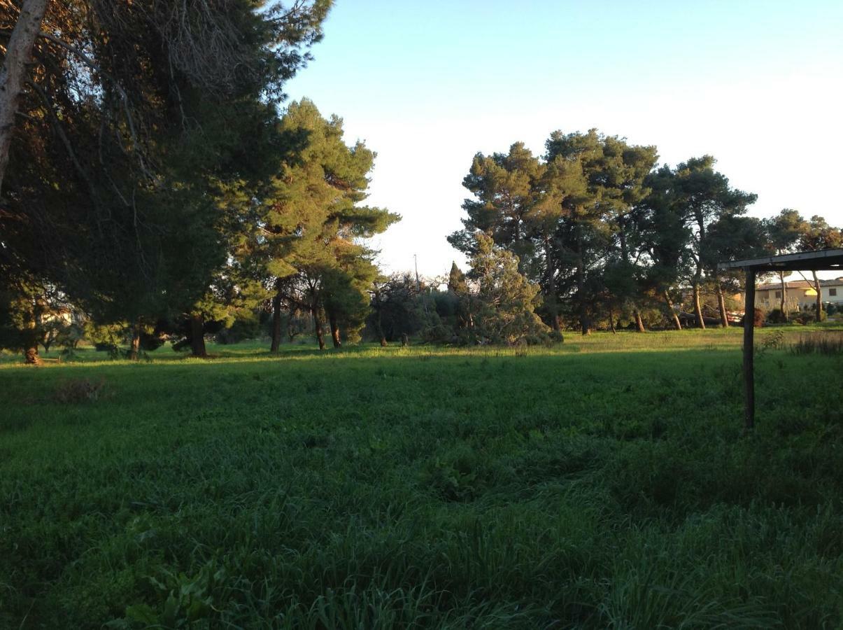 Villa Di Campagna Santa Giulia Carbonifera Exterior foto